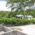 The glorious Doka Estate owned by the Vargas family. Green coffee washing tanks in the foreground, drying patio adjacent, housing for harvesters just beyond the patio, and coffee and banana growing together on the hillside in the distance at 4500'. Photo by Barth Anderson.