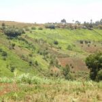 Kenya countryside in the Ruiru Region. Photo courtesy of Gordon Clark 2009.