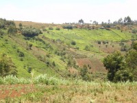 Kenya countryside in the Ruiru Region. Photo courtesy of Gordon Clark 2009.