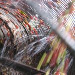 Coffee cherry being tumbled from the pulper. Photo courtesy of Daterra Farms.